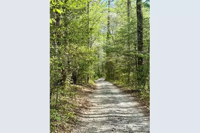 294 Brookwood Lane, Clarkesville, GA 30523 - Photo 52