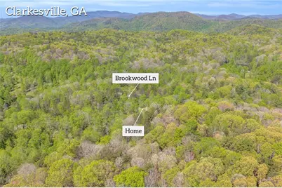 294 Brookwood Lane, Clarkesville, GA 30523 - Photo 62