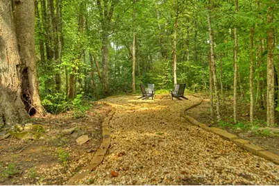 1821 Stanley Creek Road, Cherry Log, GA 30522 - Photo 62