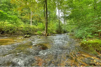 1821 Stanley Creek Road, Cherry Log, GA 30522 - Photo 4