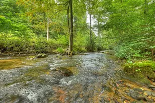 1821 Stanley Creek Rd, Cherry Log, GA 30522 - Photo 4