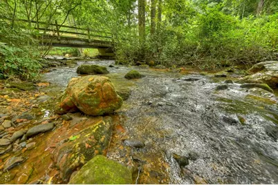 1821 Stanley Creek Road, Cherry Log, GA 30522 - Photo 66