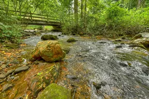 1821 Stanley Creek Rd, Cherry Log, GA 30522 - Photo 66