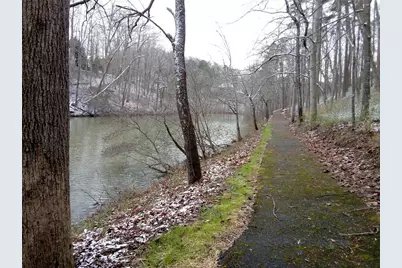 8145 Stone Hill Road, Cumming, GA 30028 - Photo 2
