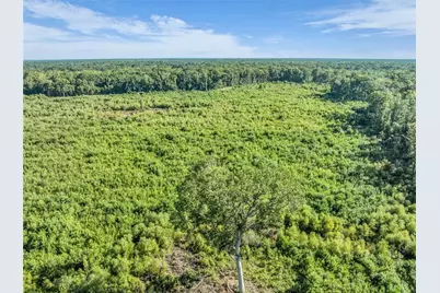 0 Brook Rd, Jesup, GA 31545 - Photo 20
