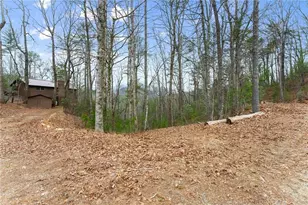 279 Cindy Cove Rd, Blairsville, GA 30512 - Photo 42