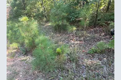 0 Springer Road, Whitesburg, GA 30185 - Photo 6