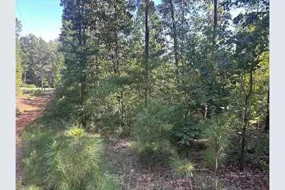 0 Springer Road, Whitesburg, GA 30185 - Photo 12