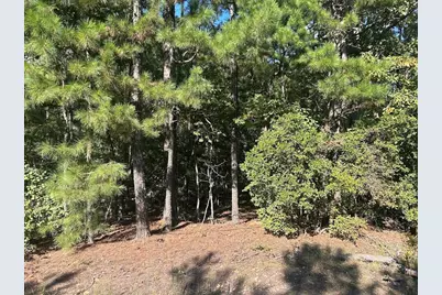 0 Springer Road, Whitesburg, GA 30185 - Photo 2
