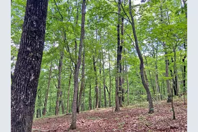 40.7Ac Falling Pines Road, Dahlonega, GA 30533 - Photo 2