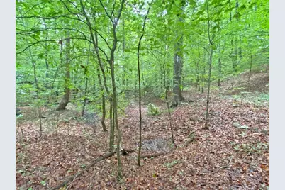 40.7Ac Falling Pines Road, Dahlonega, GA 30533 - Photo 10