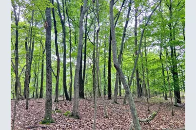 40.7Ac Falling Pines Road, Dahlonega, GA 30533 - Photo 4