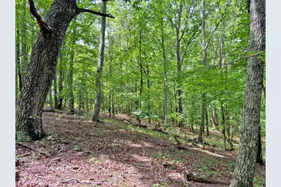 40.7Ac Falling Pines Road, Dahlonega, GA 30533 - Photo 8