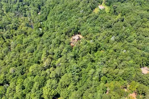 200 W Goldmine Rd, Ellijay, GA 30536 - Photo 66