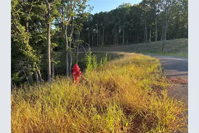 Lot 17 Norton Ridge, Dahlonega, GA 30533 - Photo 8