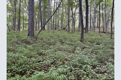 Lot 21 Norton Lane, Dahlonega, GA 30533 - Photo 6