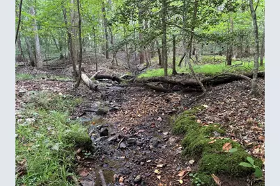 Lot 21 Norton Lane, Dahlonega, GA 30533 - Photo 20