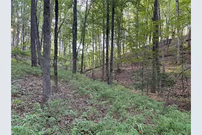 Lot 28 Norton Lane, Dahlonega, GA 30533 - Photo 38
