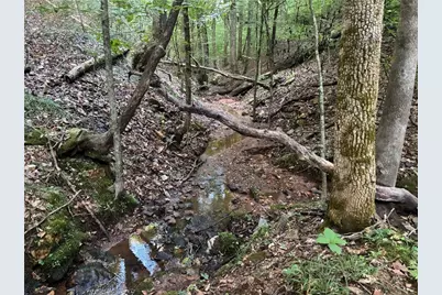 Lot 28 Norton Lane, Dahlonega, GA 30533 - Photo 34
