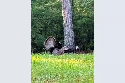 35 Prayer Trail, Aragon, GA 30104 - Photo 56