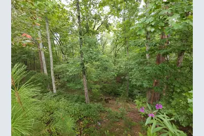 241 Carters View Lane, Ellijay, GA 30540 - Photo 14