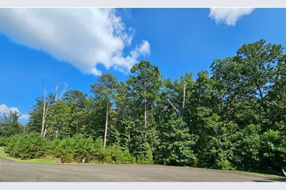 241 Carters View Lane, Ellijay, GA 30540 - Photo 12