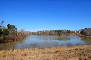 6896 Big Sky Dr, Flowery Branch, GA 30542 - Photo 46