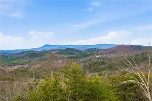 185 Stirratt Rd, Ranger, GA 30734 - Photo 4