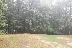 2532 Lois Ct, Loganville, GA 30052 - Photo 4