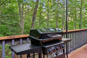 889 Granny Branch Drive, Blue Ridge, GA 30513 - Photo 60