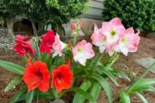 [Address not provided], Brookhaven, GA 30341 - Photo 52
