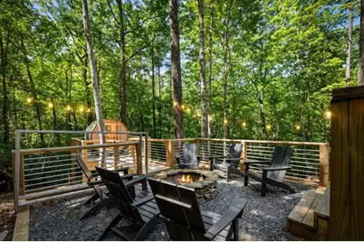 223 Laurel Trace, Blue Ridge, GA 30513 - Photo 46