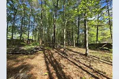 245 Crofton Ridge, Bethlehem, GA 30620 - Photo 22