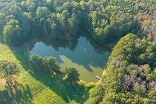 3767 US Hwy 27, Buchanan, GA 30113 - Photo 2