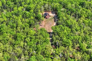 769 Voylestown Rd, Morganton, GA 30560 - Photo 64
