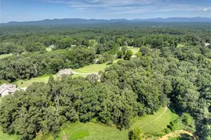 2703 Hwy 382W, Ellijay, GA 30540 - Photo 62