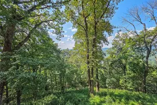 493 Starcross Ln, Jasper, GA 30143 - Photo 40