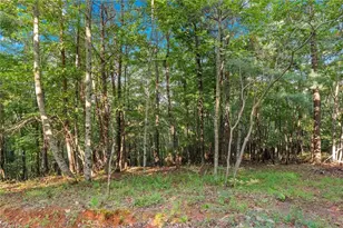 5351 Hwy 19 N, Dahlonega, GA 30533 - Photo 26