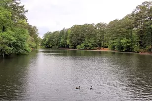3520 Turtle Cove Ct SE, Marietta, GA 30067 - Photo 36