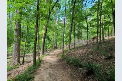 10 Altar Rock Court NE, Cartersville, GA 30121 - Photo 116
