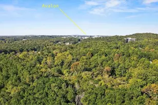 1205 Whitestone Ridge, Alpharetta, GA 30005 - Photo 22