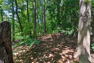 919 Walker Ave, Atlanta, GA 30316 - Photo 66