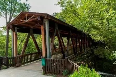 150 Forrest Alley, Roswell, GA 30075 - Photo 66