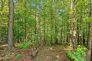 620 Fox Paw Leaf Ln, Ellijay, GA 30536 - Photo 54