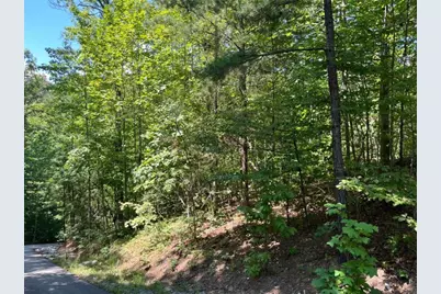 Lot 7 Forest Canopy Way, Clayton, GA 30525 - Photo 6