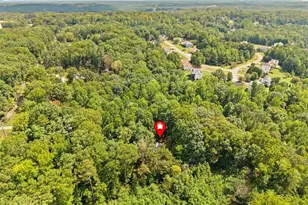 439 Fairview Rd, Ball Ground, GA 30107 - Photo 42