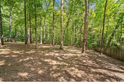439 Fairview Road, Ball Ground, GA 30107 - Photo 40