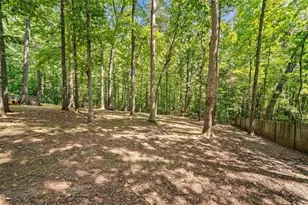 439 Fairview Rd, Ball Ground, GA 30107 - Photo 40