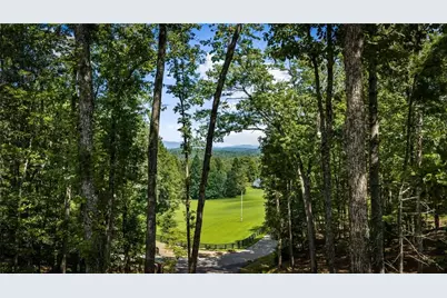 60 Oasis Drive, Blue Ridge, GA 30513 - Photo 12
