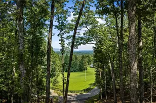 60 Oasis Dr, Blue Ridge, GA 30513 - Photo 12